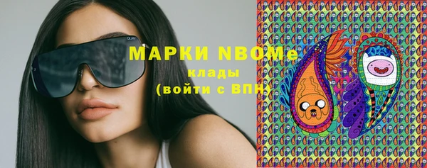 стаф Верея
