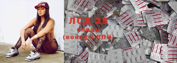 стаф Верея