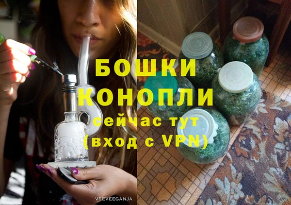 молекула духа Волоколамск