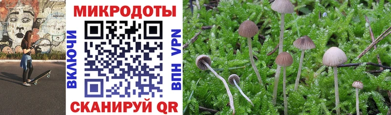 Псилоцибиновые грибы Psilocybine cubensis  MEGA ССЫЛКА  Катайск 
